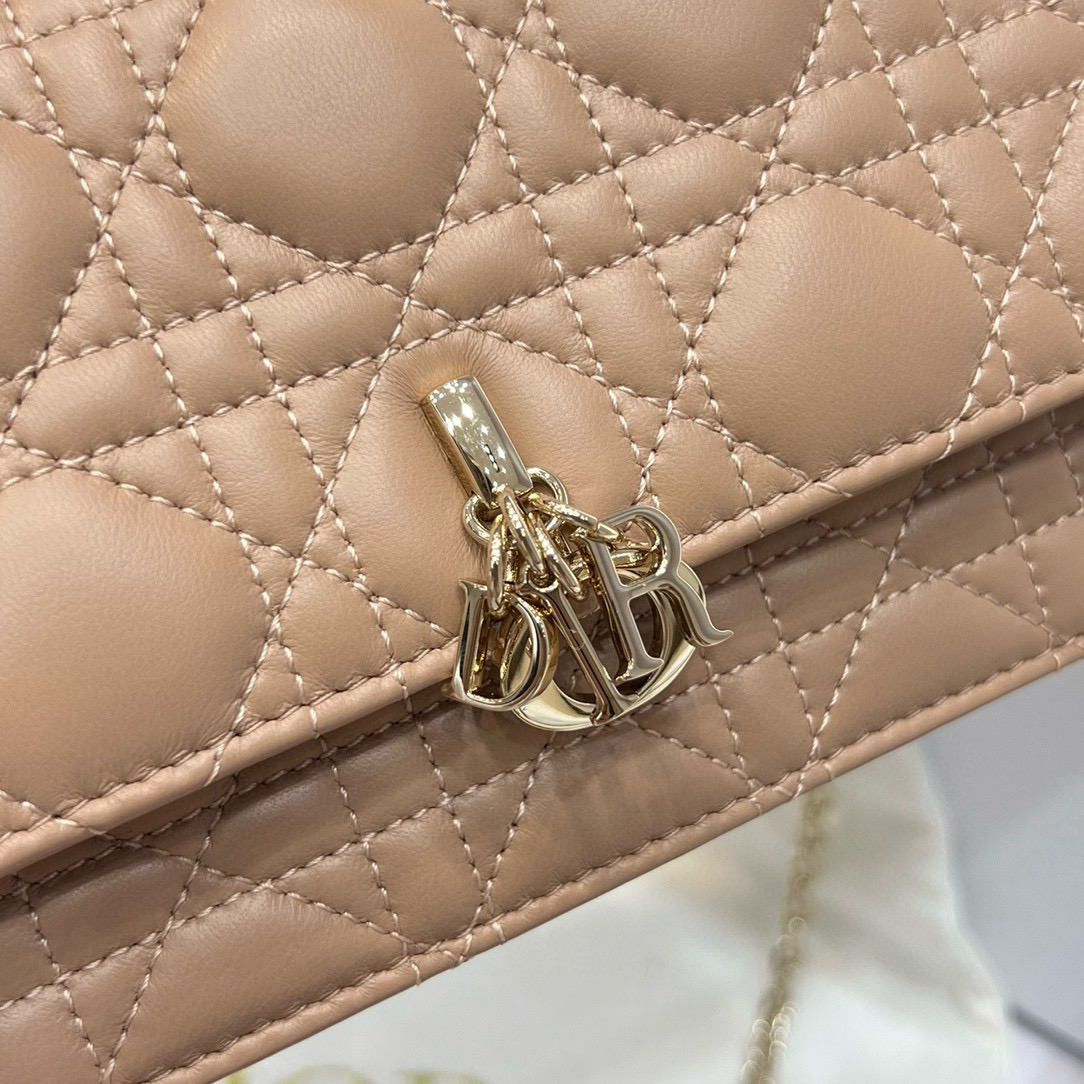 Dior Designer Bag Crossbody Bag Triomphes Bag Genuine Leather Women Shoulder Bag Top Quality Classic Teen Wallet Ladies Luxury Bag Underarm Saddle Bag