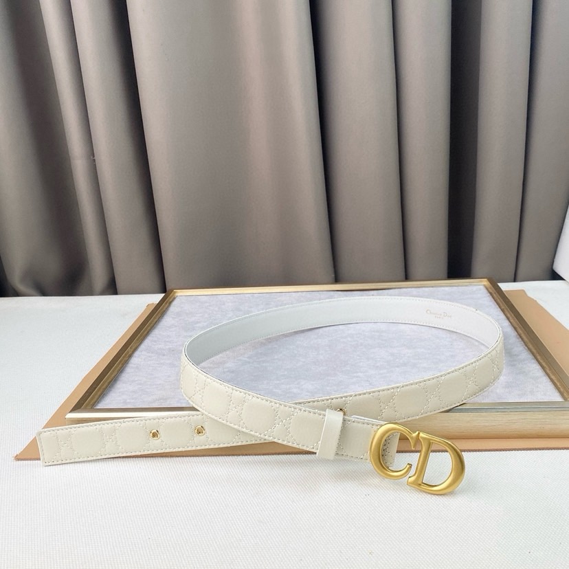 Dior Belts For Women Designer Belt Womens Formal Smooth Buckle Woman Narrow Genuine Leather Golden Bronze Cowhide Design Thin Optional High Quality