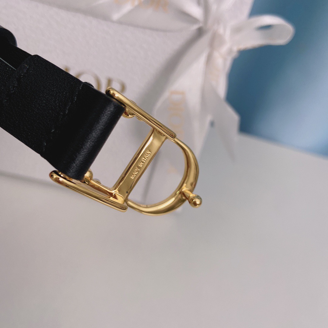 Dior Belts For Women Designer Belt Womens Formal Smooth Buckle Woman Narrow Genuine Leather Golden Bronze Cowhide Design Thin Optional High Quality