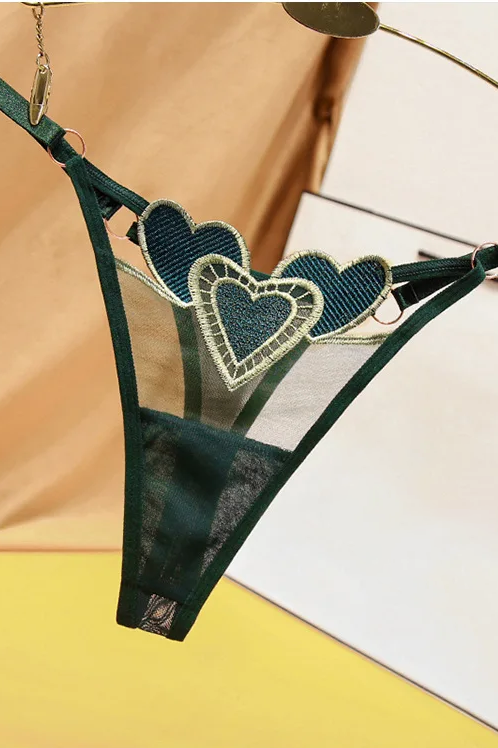 Sexy Lingerie for Women Embroidery Female Underwear Low-Rise Girls' Thongs Women Panties Woman Clothing Underwear Women