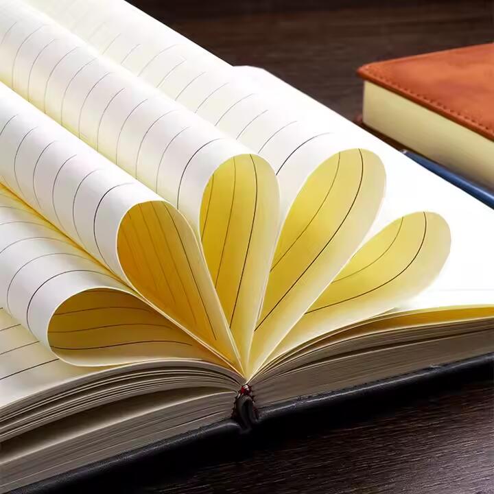 School Office Supplies Stationery Planner Organizer Agenda Daily Weekly Schedule Monthly Business Journals A5 Notebook