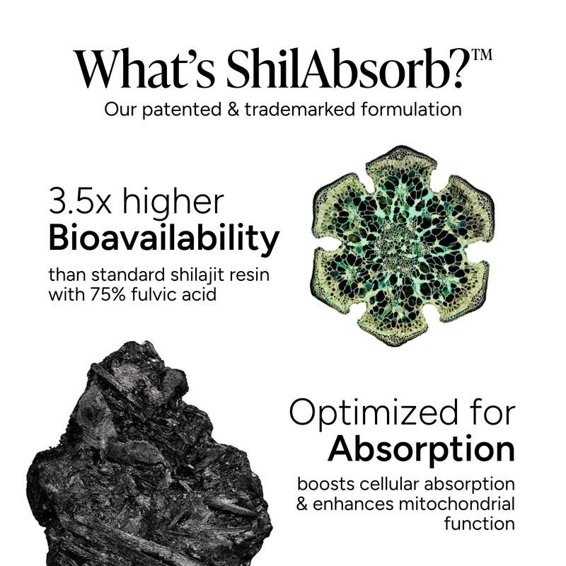 Root Labs 10-in-1 Alpha Gummies – 4000mg Himalayan Shilajit with KSM-66 Ashwagandha, Tongkat Ali & Herbal Blend | 60 Vegan Gummies