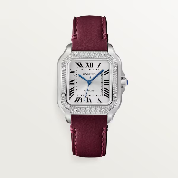 Cartie SANTOS DE CARTIER WATCH