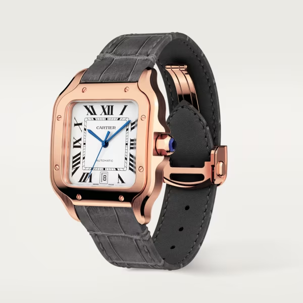 Cartie SANTOS DE CARTIER WATCH