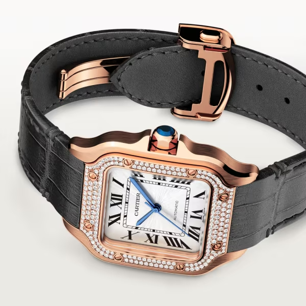 Cartie SANTOS DE CARTIER WATCH