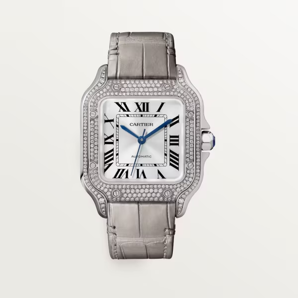 Cartie SANTOS DE CARTIER WATCH