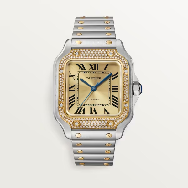 Cartie SANTOS DE CARTIER WATCH