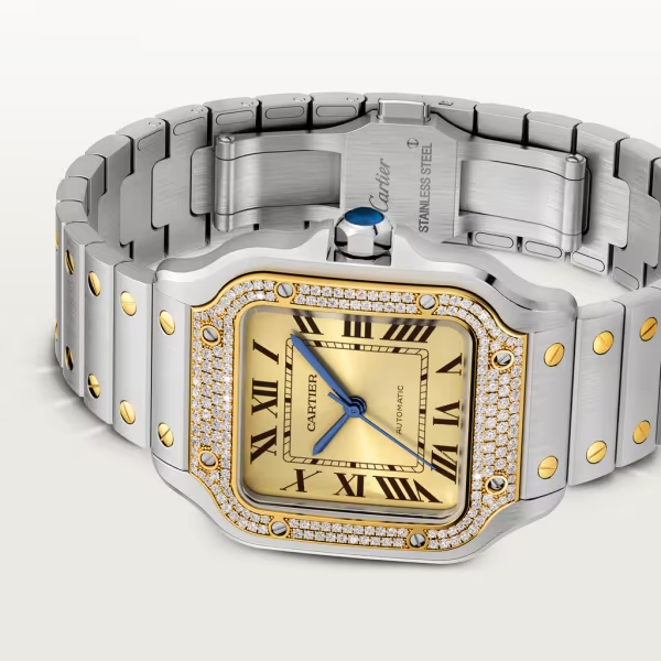 Cartie SANTOS DE CARTIER WATCH