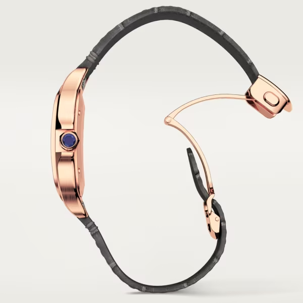 Cartie SANTOS DE CARTIER WATCH