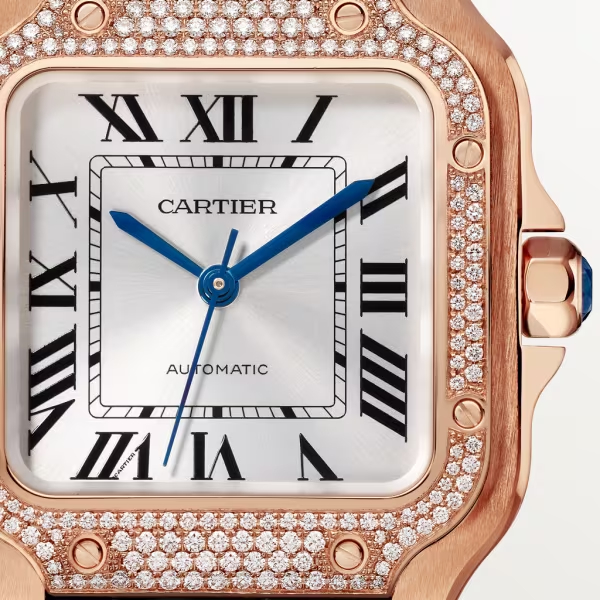 Cartie SANTOS DE CARTIER WATCH