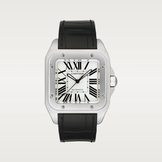 CARTIER SANTOS 100 Silver Gray 38mm W20073X8