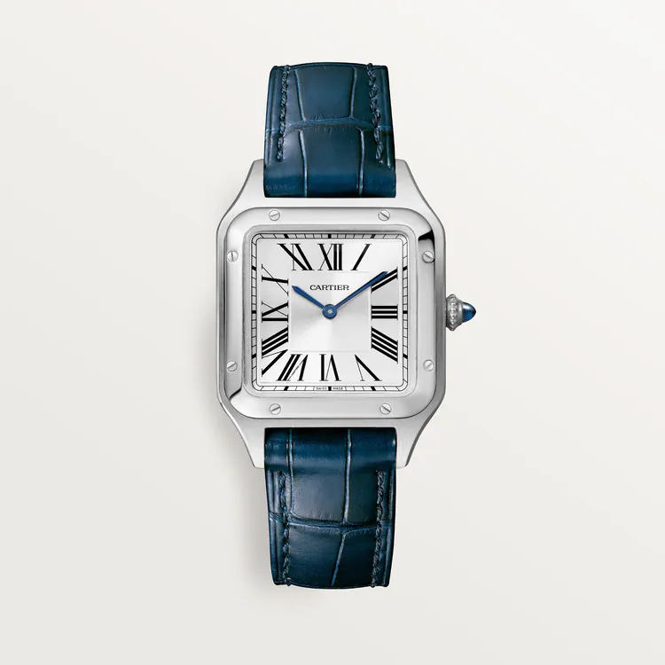 CARTIER SANTOS-DUMONT Blue Strap Small Model 38 mm WSSA0023