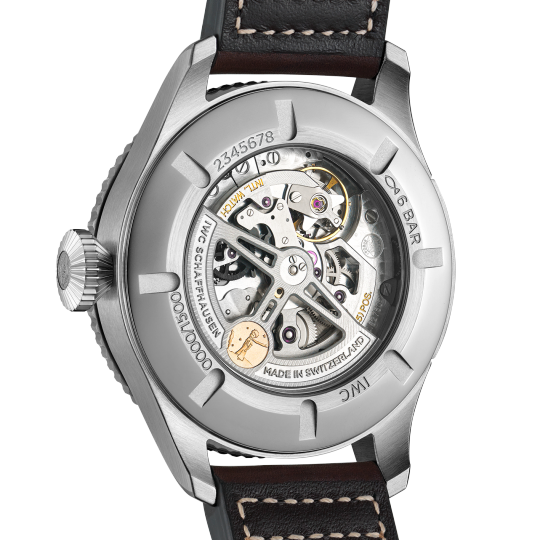 IWC PILOT’S WATCH TIMEZONER EDITION “LE PETIT PRINCE”