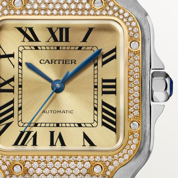Cartie SANTOS DE CARTIER WATCH