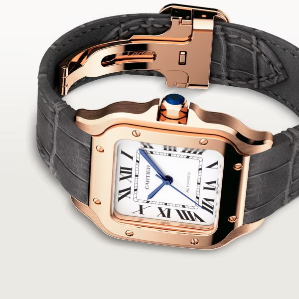 Cartie SANTOS DE CARTIER WATCH