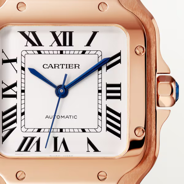 Cartie SANTOS DE CARTIER WATCH