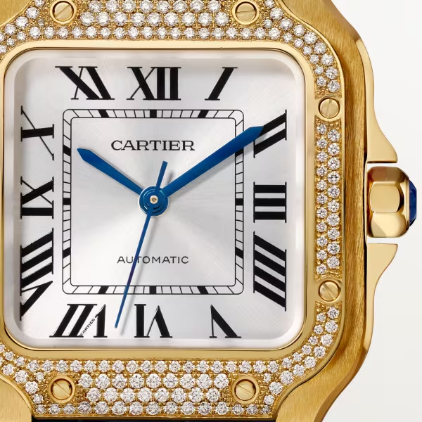 Cartie SANTOS DE CARTIER WATCH