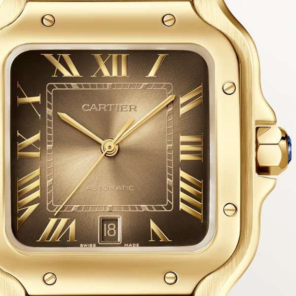 Cartie SANTOS DE CARTIER WATCH