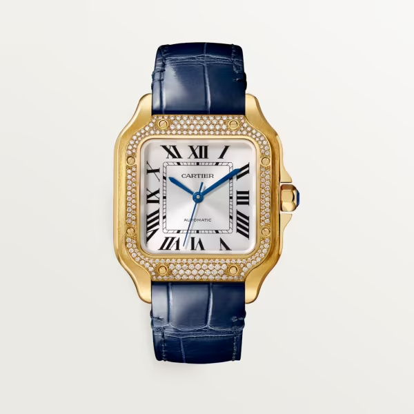 Cartie SANTOS DE CARTIER WATCH