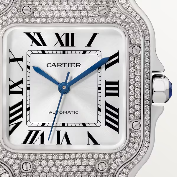 Cartie SANTOS DE CARTIER WATCH