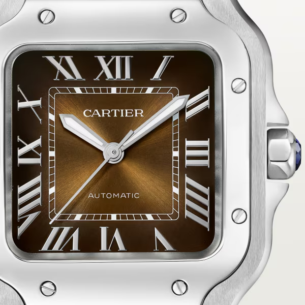 Cartie SANTOS DE CARTIER WATCH