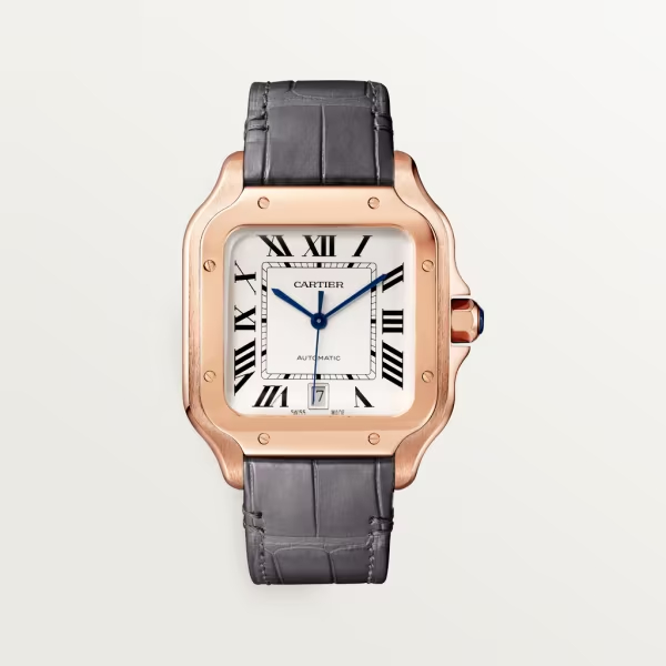 Cartie SANTOS DE CARTIER WATCH