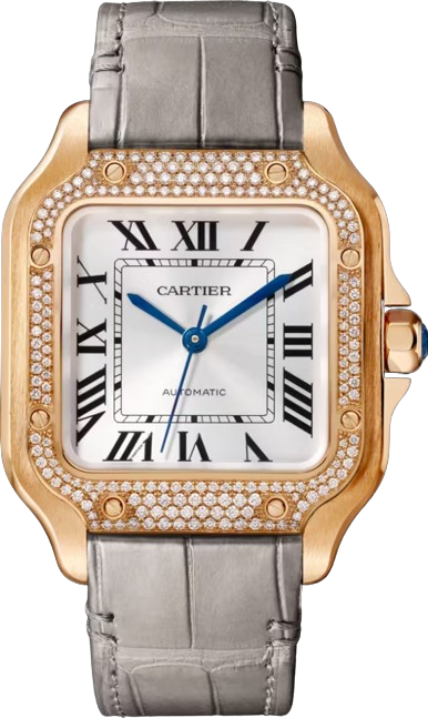 Cartie SANTOS DE CARTIER WATCH