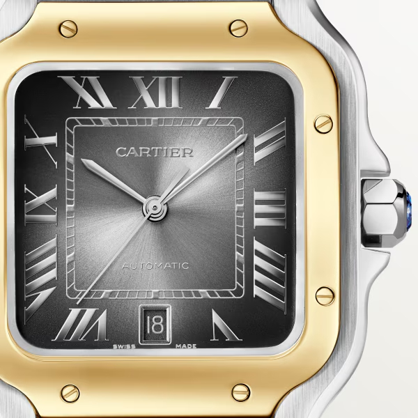 Cartie SANTOS DE CARTIER WATCH