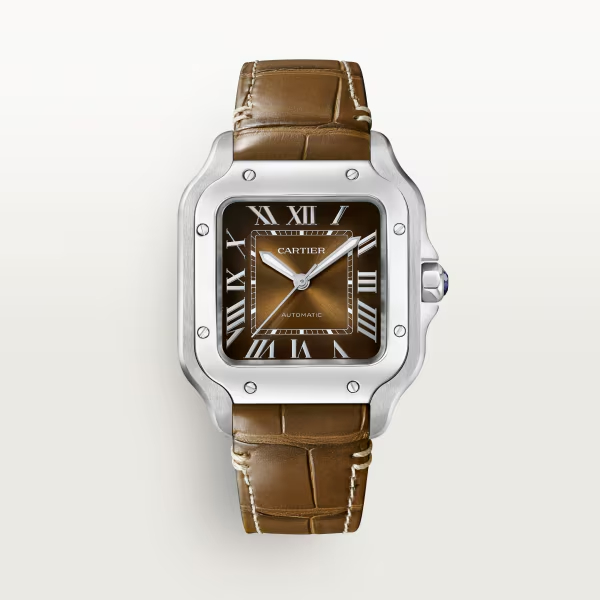 Cartie SANTOS DE CARTIER WATCH