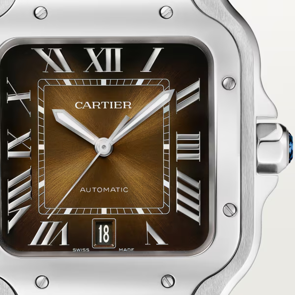 Cartie SANTOS DE CARTIER WATCH