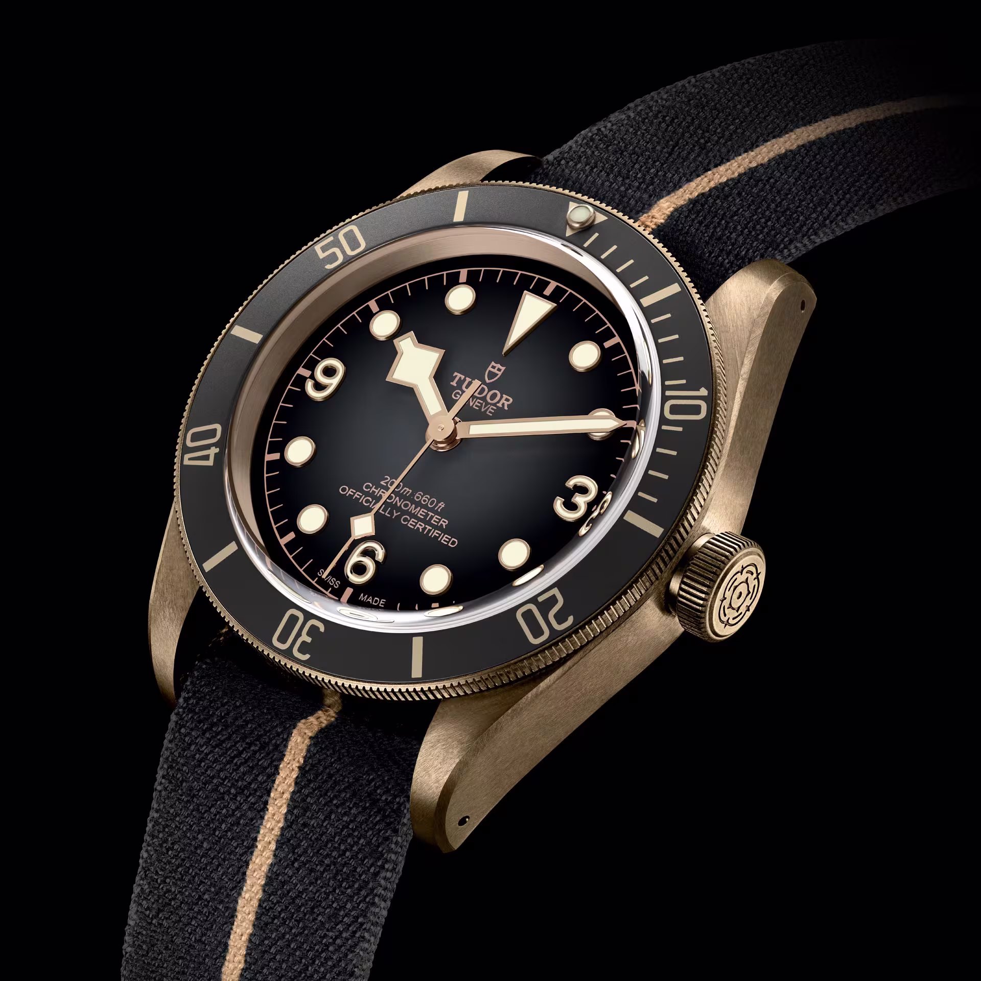 Tudor Black Bay BRONZE 43mm M79250BA-0002