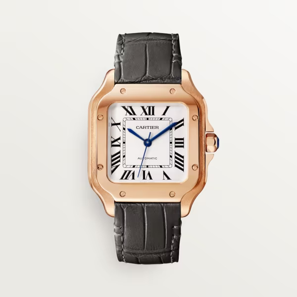 Cartie SANTOS DE CARTIER WATCH