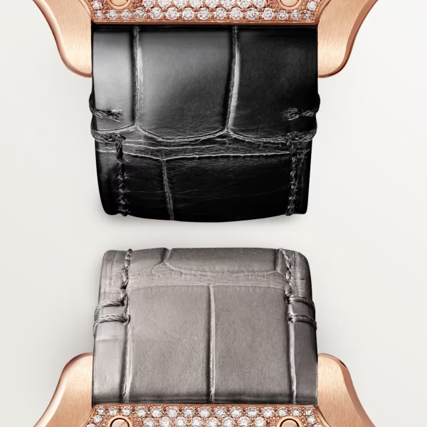 Cartie SANTOS DE CARTIER WATCH