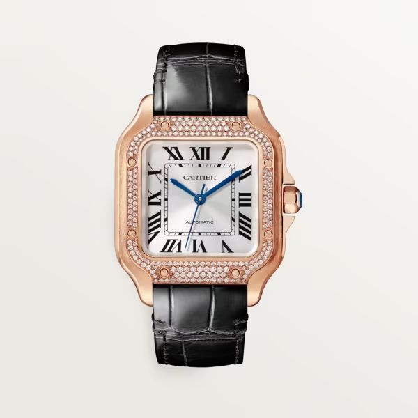 Cartie SANTOS DE CARTIER WATCH