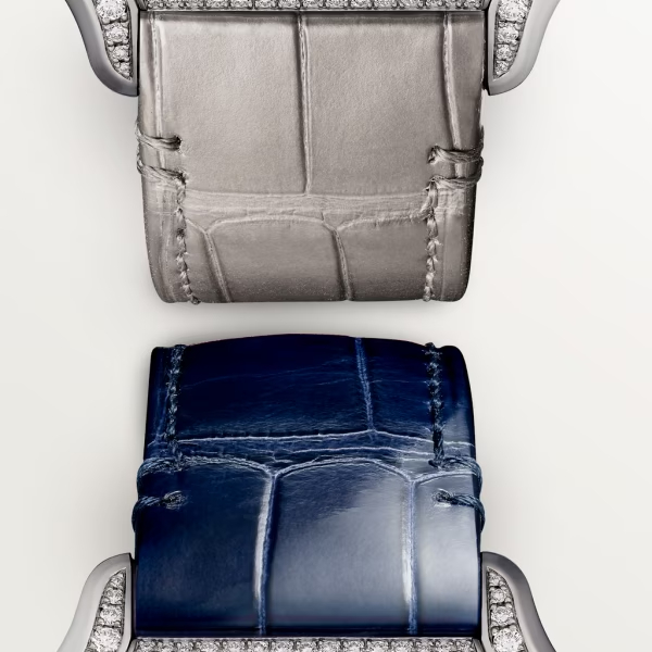 Cartie SANTOS DE CARTIER WATCH