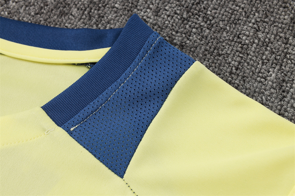 Ajax Training Jersey 24/25