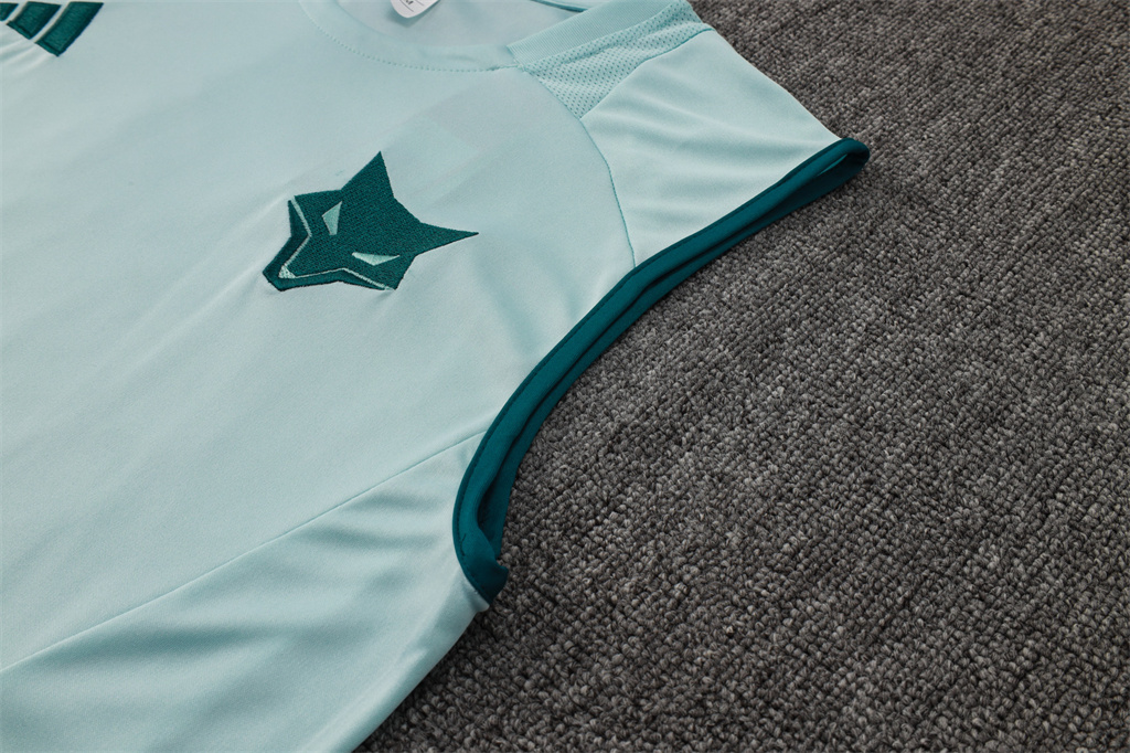 Cruzeiro Training Jersey 24/25