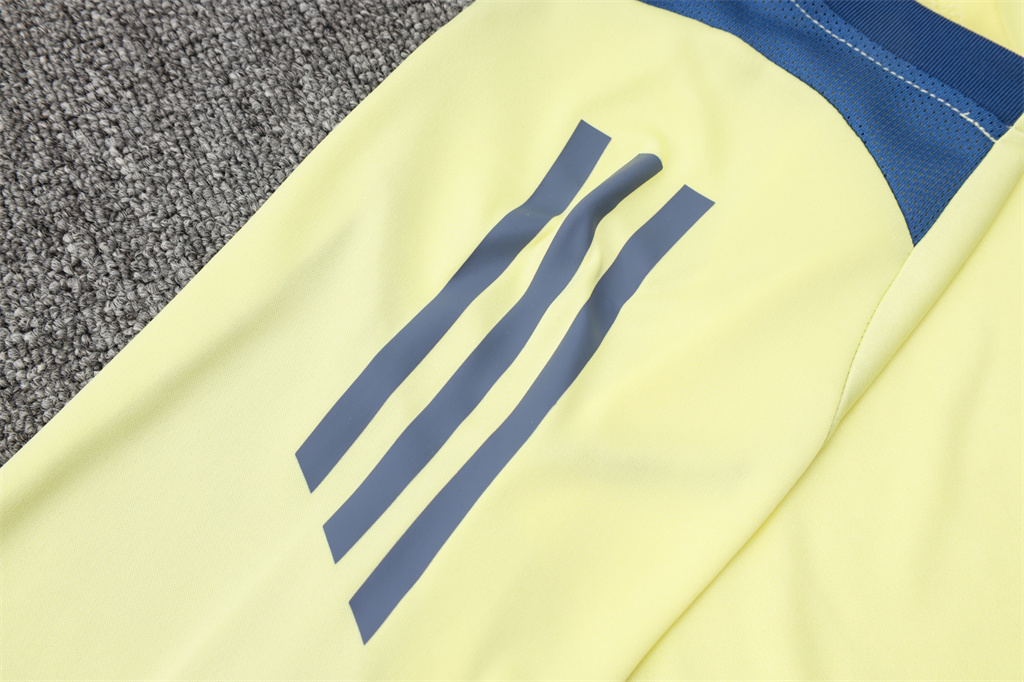 Ajax Training Short sleeve Suit 24/25