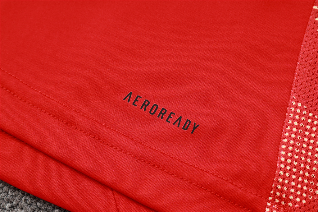 Spain Training Short sleeve Suit 24/25