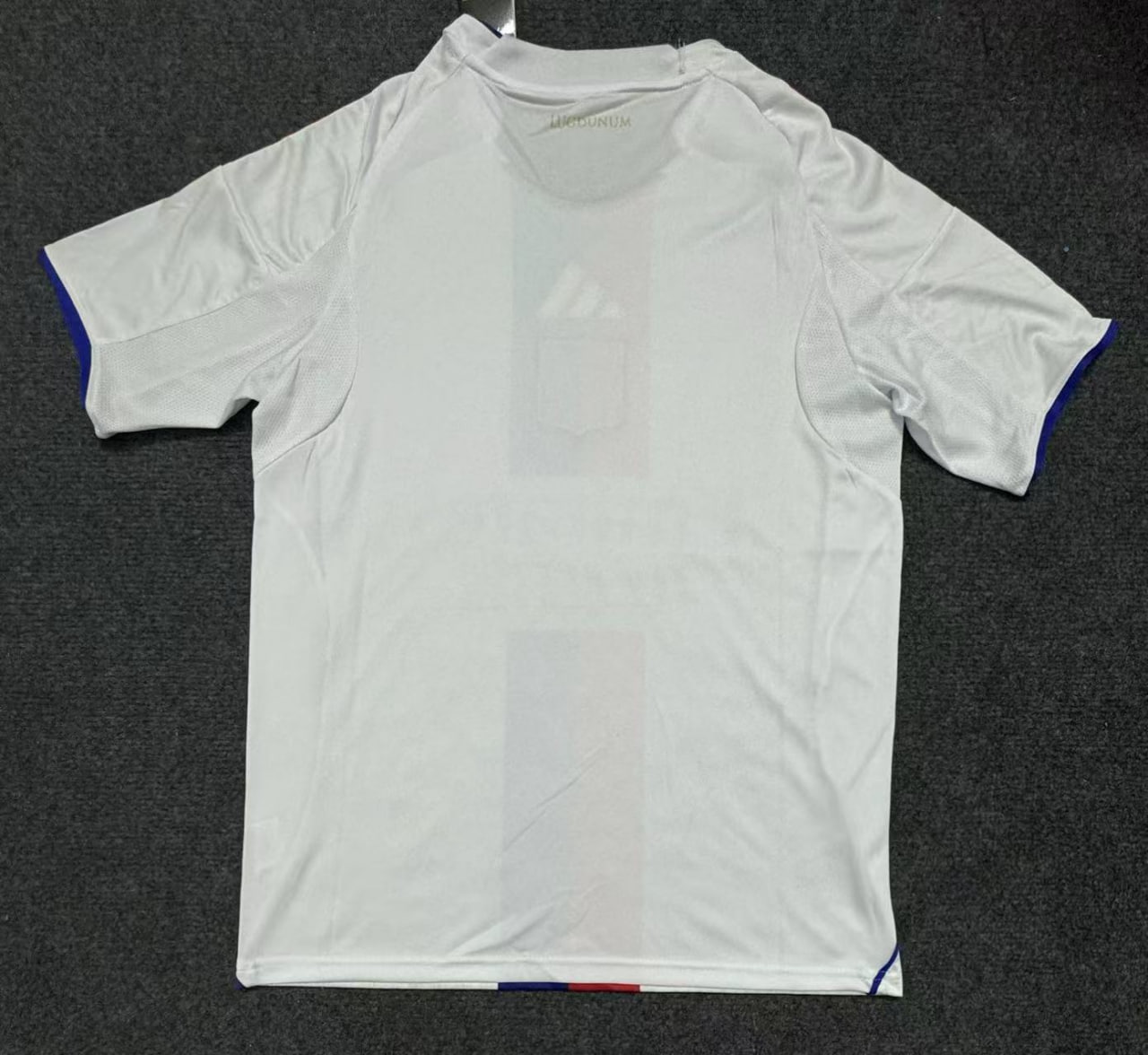Lyon Home Men Jersey 25/26