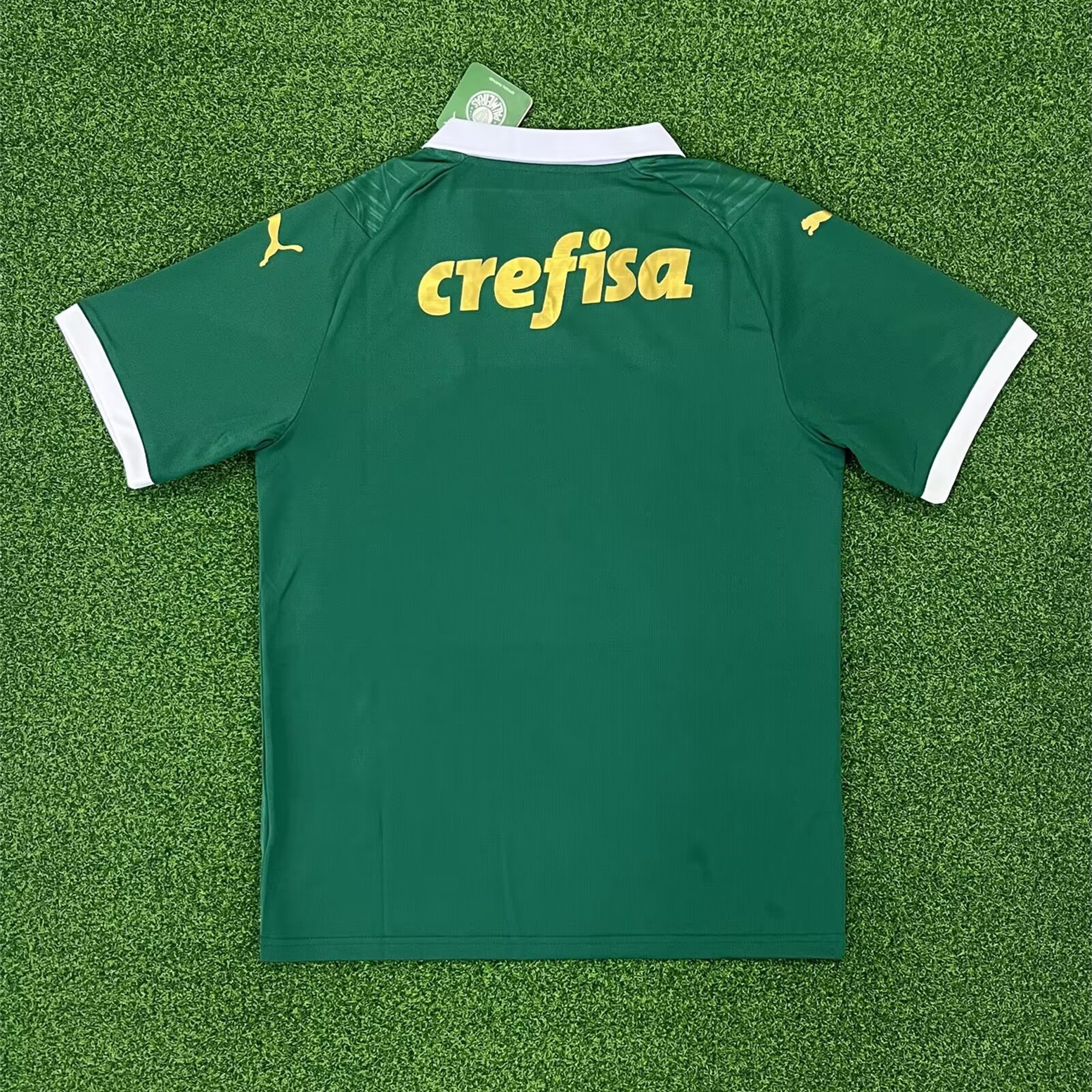 Palmeiras Home Man Jersey 24/25