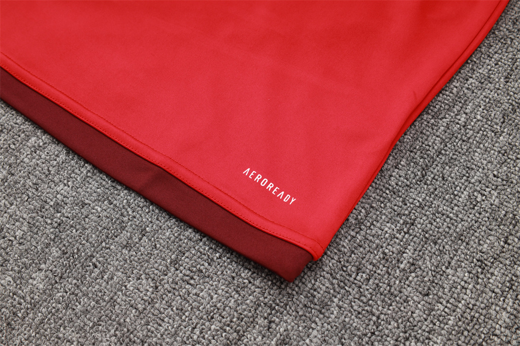 Internacional Training Jersey Suit 24/25