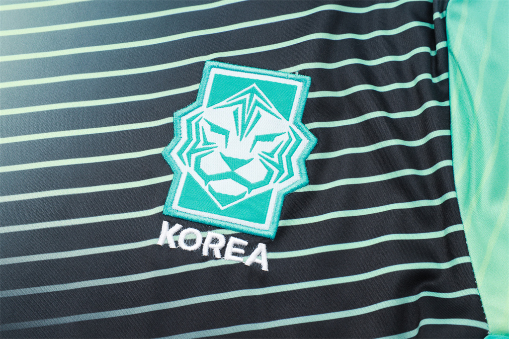 South Korea Training Short sleeve Jersey 24/25