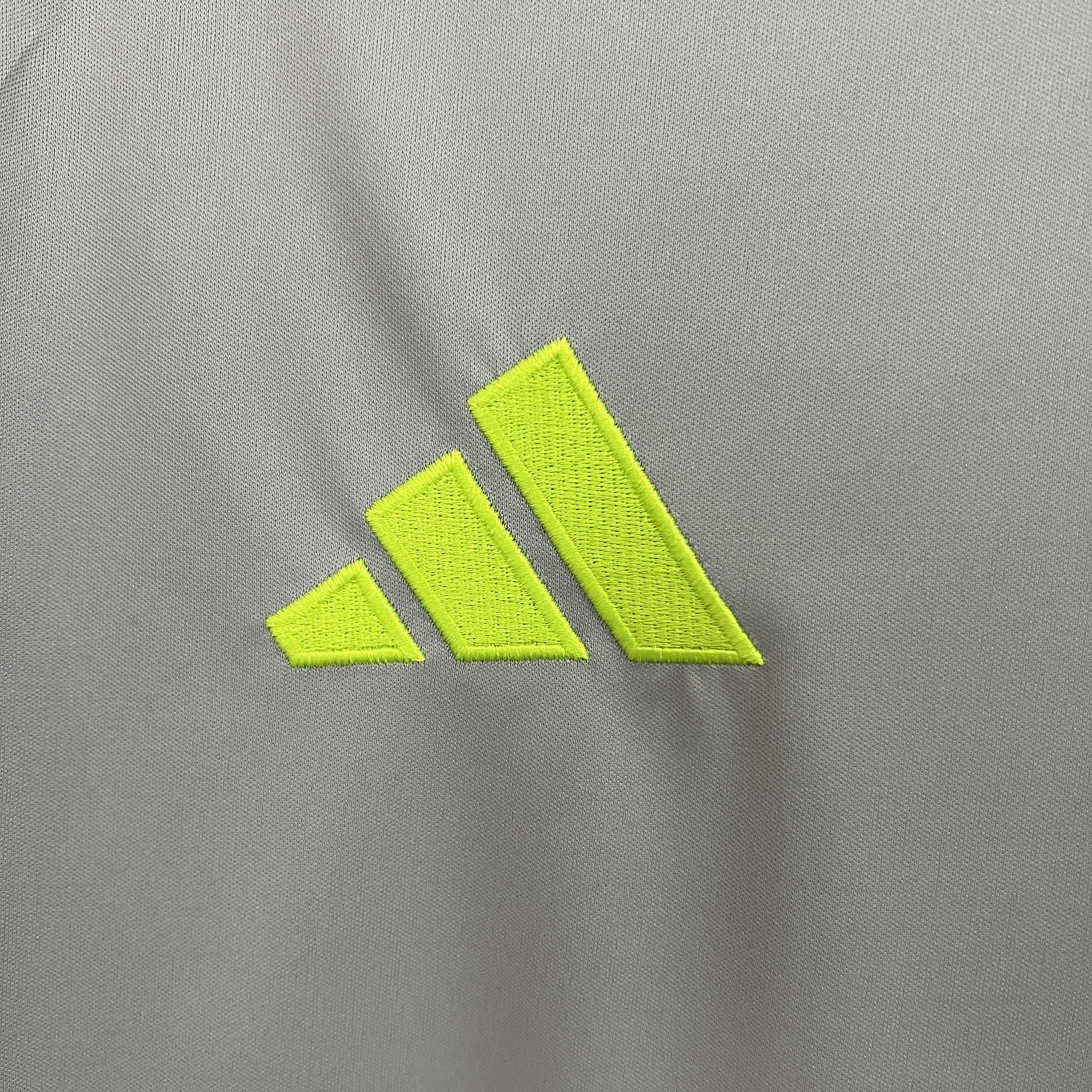 SL Benfica Training Man Jersey 24/25