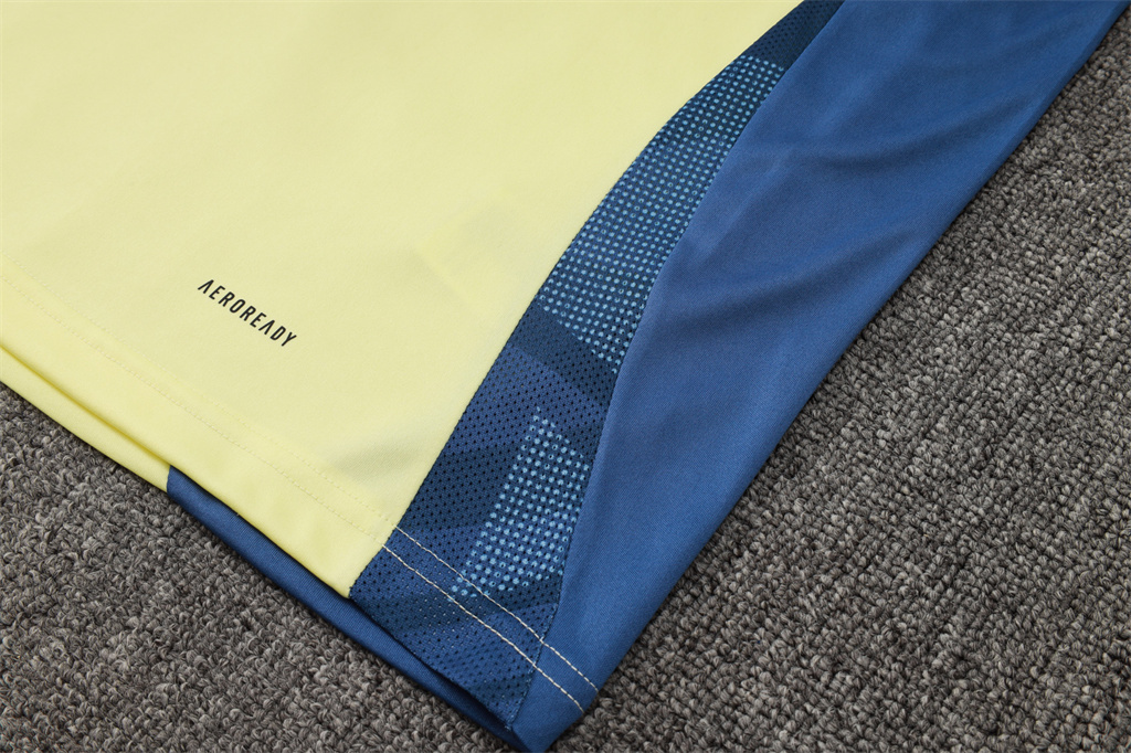 Ajax Training Jersey 24/25