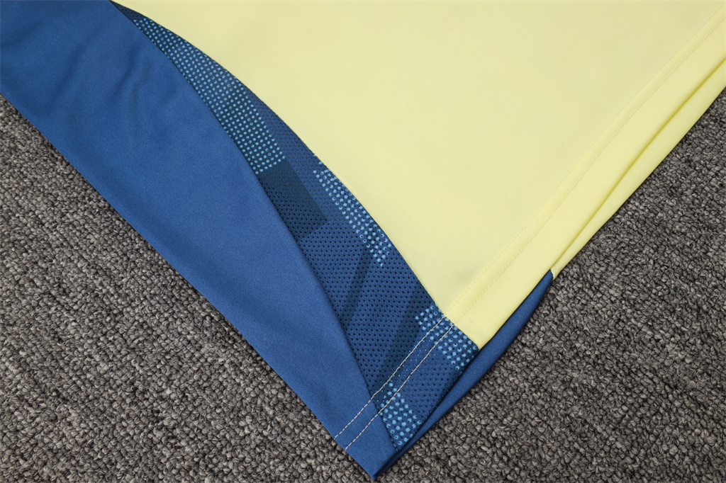 Ajax Training Jersey 24/25