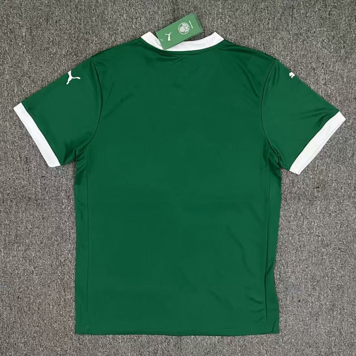 Palmeiras Home Man Jersey 25/26