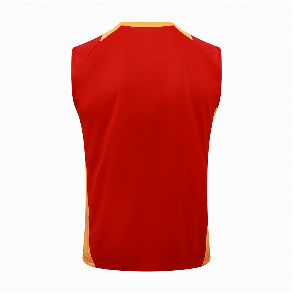 Bayern Munich Training Jersey 24/25