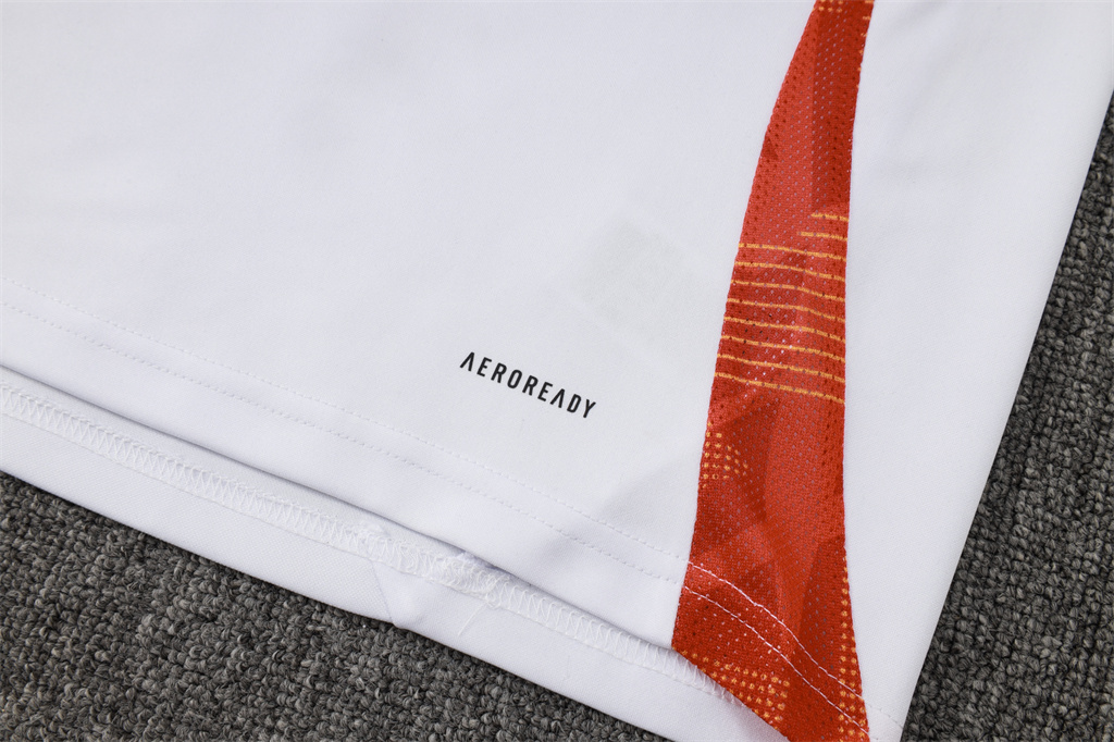 Internacional Training Jersey Suit 24/25