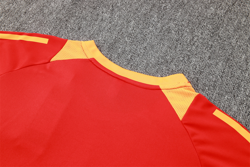 Bayern Munich Training Short sleeve Jersey 24/25